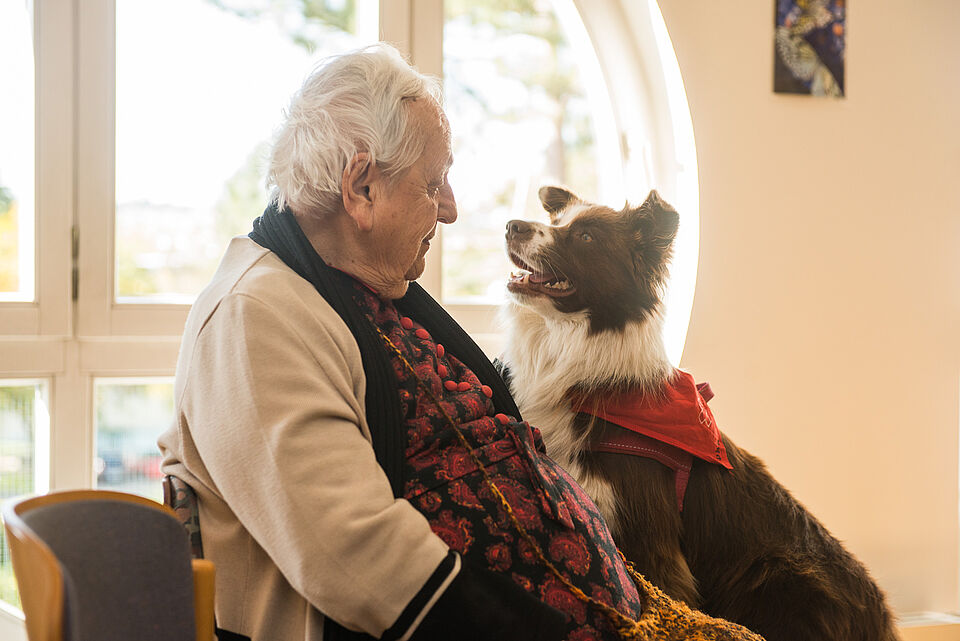 DRK Besuchshund Nana besucht in einem Seniorenheim einen Bewohner.