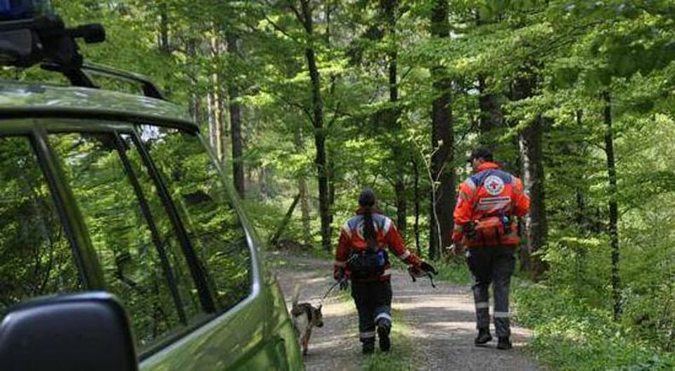 Rettungshundestaffel Zwei Helfer mit einem Hund bei der Suche einer vermissten Person im Wald